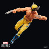 Marvel Legends - Wolverine (mit nacktem Oberkörper) – „ Deadpool “ & Wolverine
