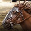 Weta Der Herr der Ringe – Statue im Maßstab 1:6: Éomer „On Firefoot“ | Figur