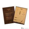 Cinereplicas Harry Potter – 1:1-Nachbau des Zauberbesens Nimbus 2000 Junior