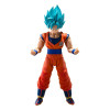 Bandai Tamashii - Super – Super-Saiyajin-Gott Super-Saiyajin Son Goku  (Blaue Kraft, die alle Grenzen überschreitet) - Dragon Ba