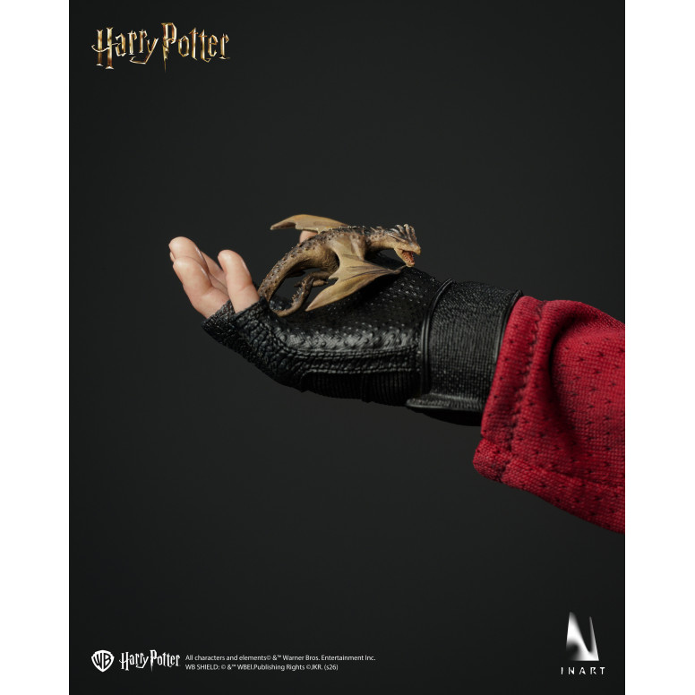 INART – Harry Potter und der Feuerkelch – Harry Potter 1/6 Sammlerfigur