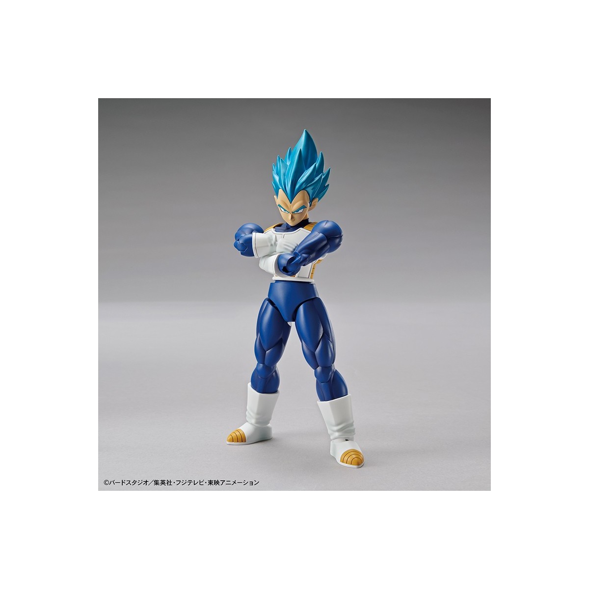 Bandai Model Kit figure Rise Final Form Freezer