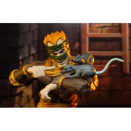 Neca - TMNT - Ninja Turtles - Pack 2 Figuren Rat King & Vernon