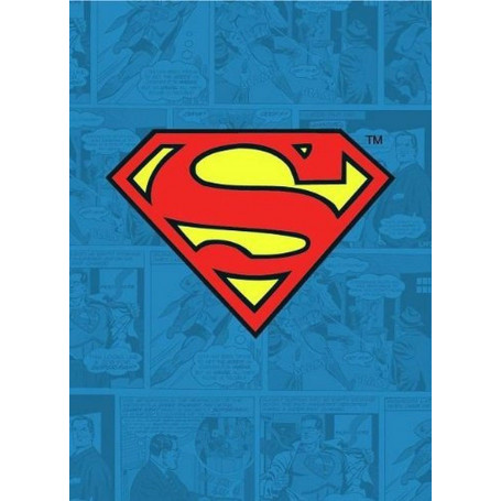 DC Comics - Batman-Metallmagnet - Verbrechensbekämpfer
