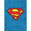 DC Comics - Batman-Metallmagnet - Verbrechensbekämpfer