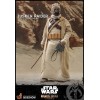 Hot Toys Star Wars - Der Mandalorianer - Tusken-Jäger