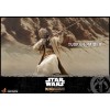 Hot Toys Star Wars - Der Mandalorianer - Tusken-Jäger