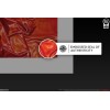 Sideshow - Vampirella Kunstdruck - Vampirella: Rosen für die Toten 46 x 61 cm