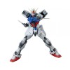 Bandai - Gunpla - 1/100 MG - GUNDAM WING STREIKEN GUNDAM VER. RM