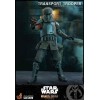 Hot Toys Star Wars - Der Mandalorianer - Transport Trooper 1/6