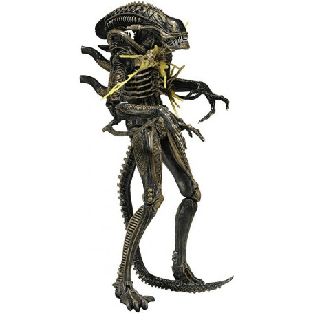 NECA ALIENS - Braun Xenomorph Krieger Schlacht beschädigt Serie 12