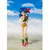 Bandai Tamashii - DRAGON BALL - Mittagessen - SHF SHFiguarts