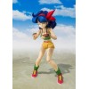 Bandai Tamashii - DRAGON BALL - Mittagessen - SHF SHFiguarts