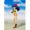 Bandai Tamashii - DRAGON BALL - Mittagessen - SHF SHFiguarts