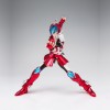 Bandai Saint Seiya MYTH CLOTH - Sho du Toucan Skycloth Revival Ver - Steel Saint