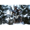 Pure Arts - Dragonborn Deluxe Edition - The Elder Scrolls V Skyrim Figur 1/6