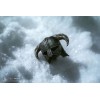 Pure Arts - Dragonborn Standard Edition - The Elder Scrolls V Skyrim Figur 1/6