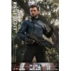 Hot Toys Marvel - Winter Soldier 1/6 - Der Falke und der Winter Soldier