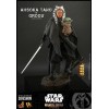 Hot Toys Star Wars - Ahsoka Tano & Grogu- Der Mandalorianer 1/6