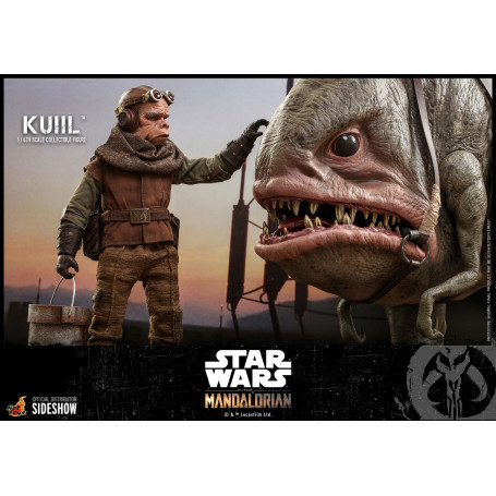 Hot Toys MMS Star Wars Der Mandalorianer - Kuiil 1/6