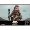 Hot Toys MMS Star Wars Der Mandalorianer - Kuiil 1/6