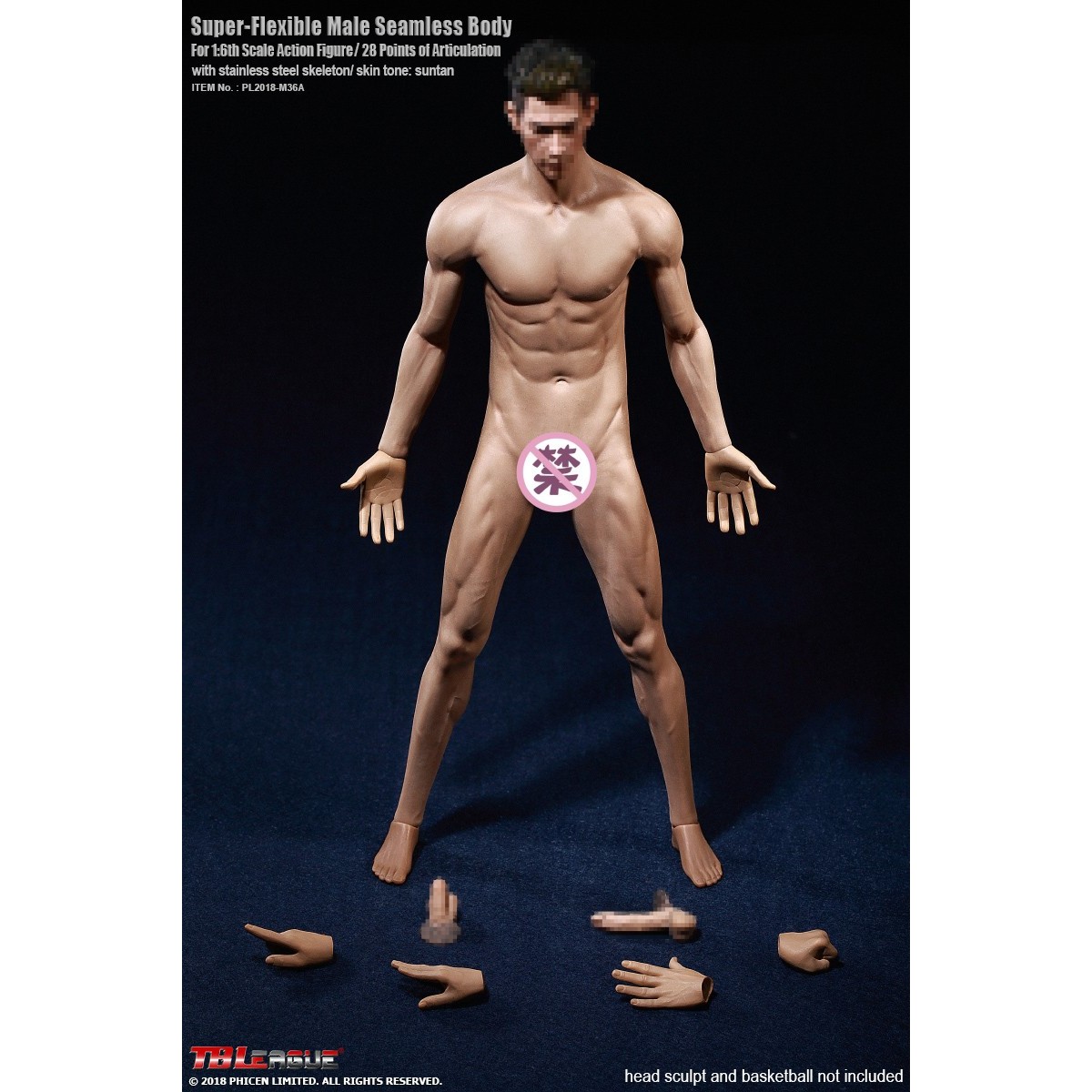 Phicen - TBLeague 1/6 Scale Super-Flexible Male Seamless Body - Medium Muscle Tan Body 