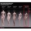 Phicen - TBLeague 1/6 Scale Female Super-Flexible Seamless Body - Kleiner brauner Body mit mittleren Cups