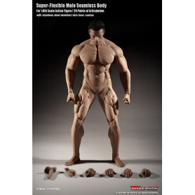 Phicen - TBLeague 1/6 Scale Super-Flexible Male Seamless Body - Gebräunter Körper Starke Muskulatur 