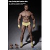 Phicen - TBLeague 1/6 Scale Super-Flexible Male Seamless Body - Sehr gebräunter Körper