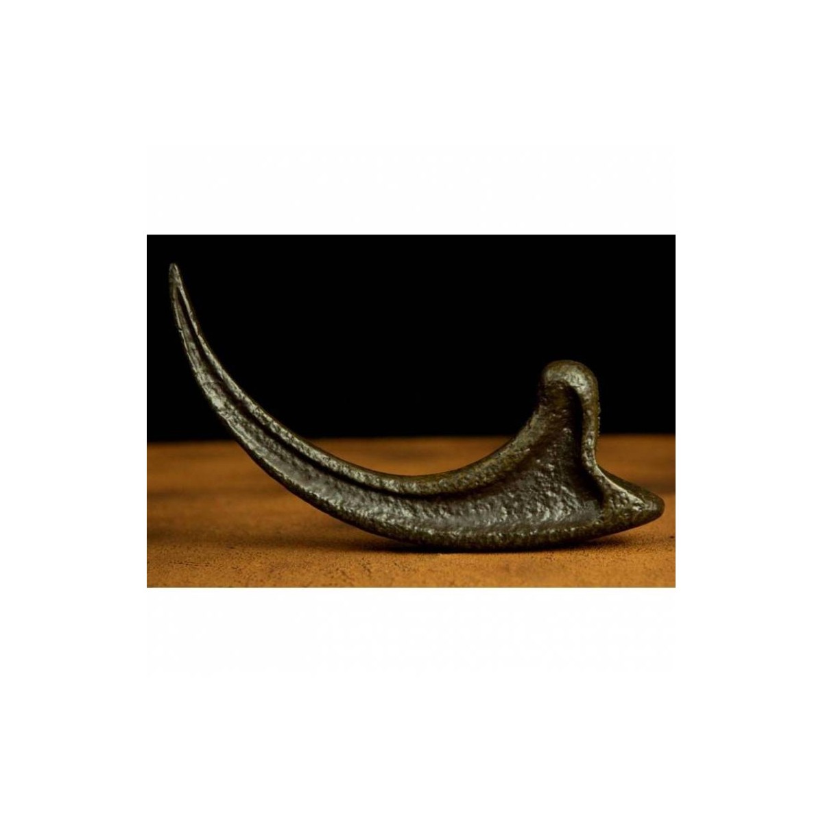 Doctor Collector - Jurassic Park - Replik 1:1 Raptor-Klaue
