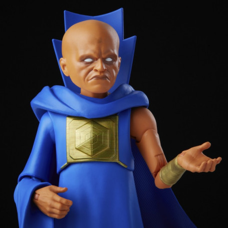 Hasbro Marvel Legends - T'CHALLA STAR-LORD - Was wäre wenn...?