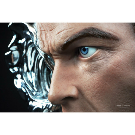 Pure Arts Terminator 2 T-1000 Kunst Maske Standard Edition