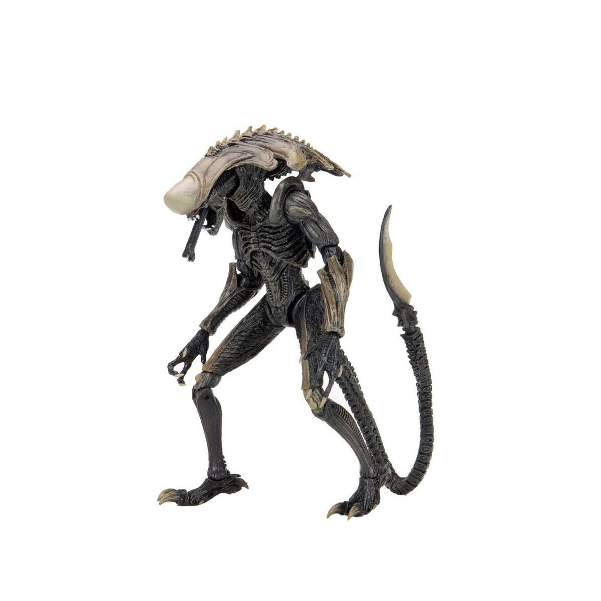 Neca Alien vs. Predator - Alien Realistic Appearance - Kompletter Satz von 3 Figuren