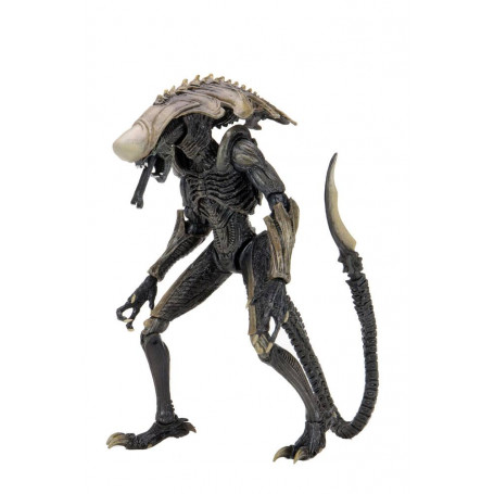 Neca Alien vs. Predator - Alien Realistic Appearance - Kompletter Satz von 3 Figuren