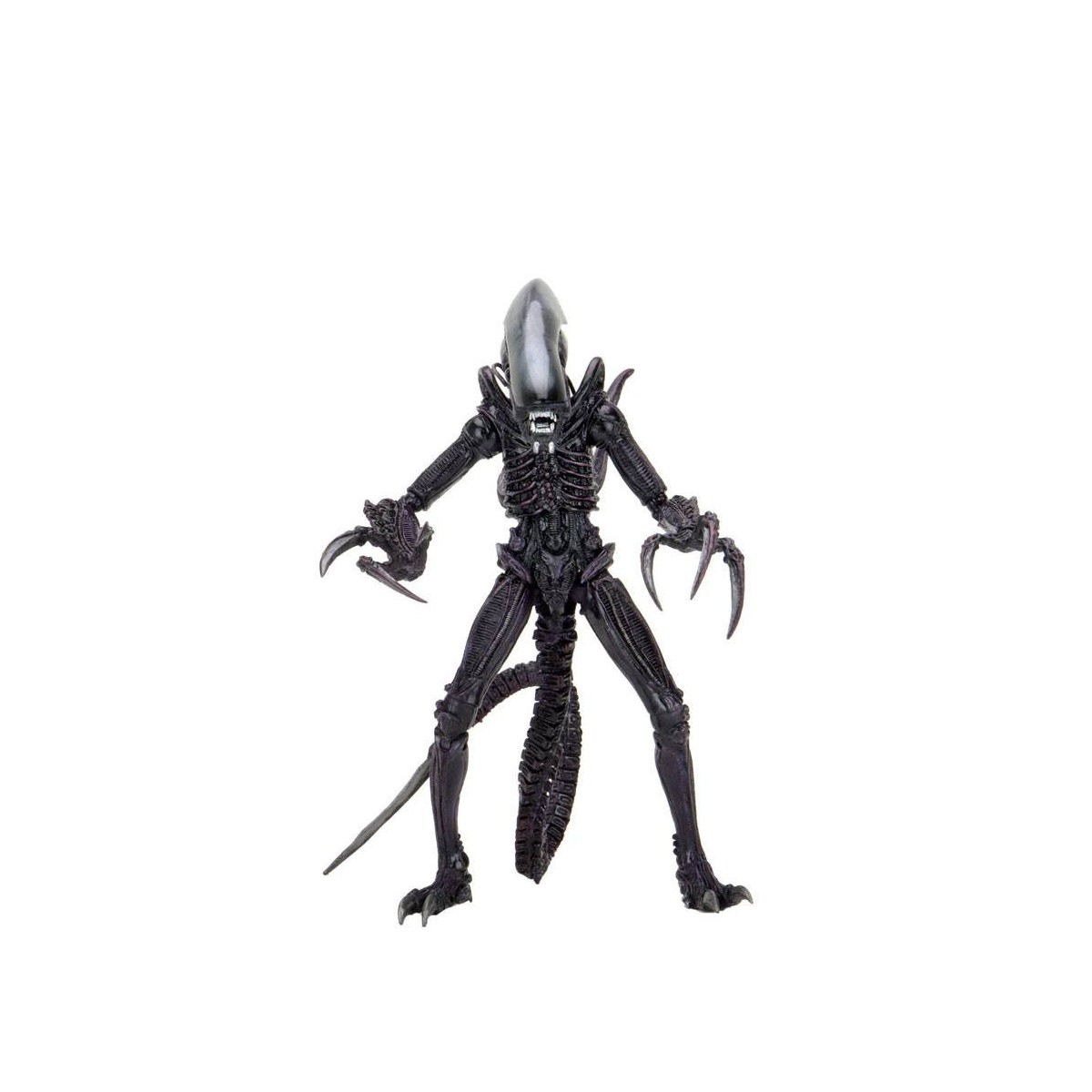 Neca Alien vs. Predator - Alien Realistic Appearance - Kompletter Satz von 3 Figuren