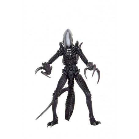 Neca Alien vs. Predator - Alien Realistic Appearance - Kompletter Satz von 3 Figuren