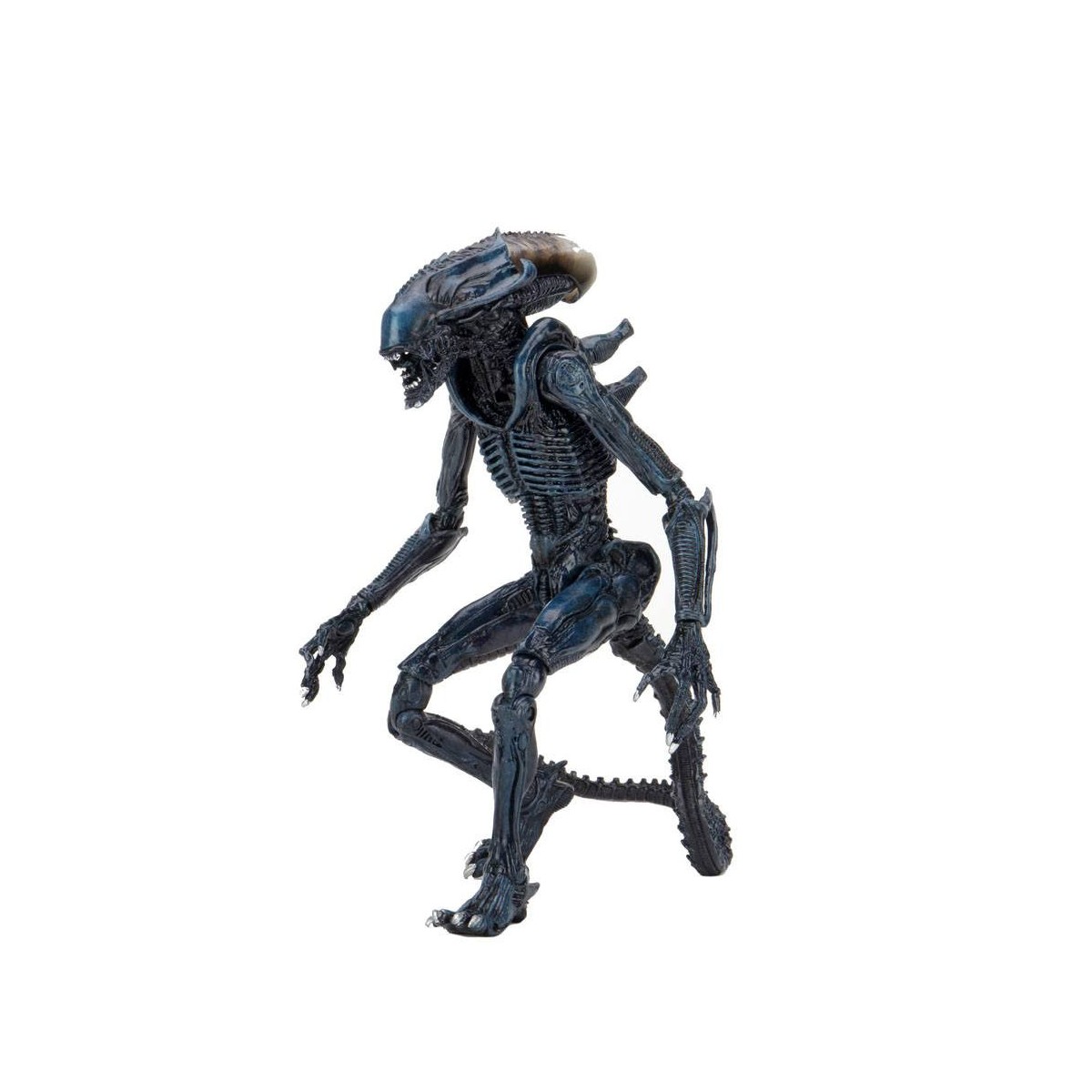 Neca Alien vs. Predator - Alien Realistic Appearance - Kompletter Satz von 3 Figuren