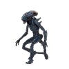 Neca Alien vs. Predator - Alien Realistic Appearance - Kompletter Satz von 3 Figuren