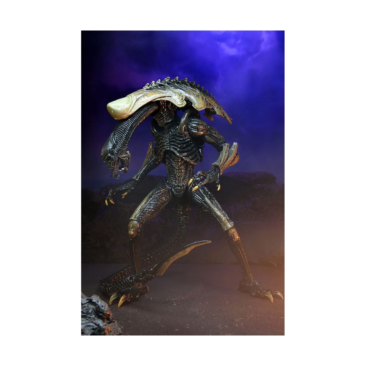 Neca Alien vs. Predator - Alien Realistic Appearance - Kompletter Satz von 3 Figuren
