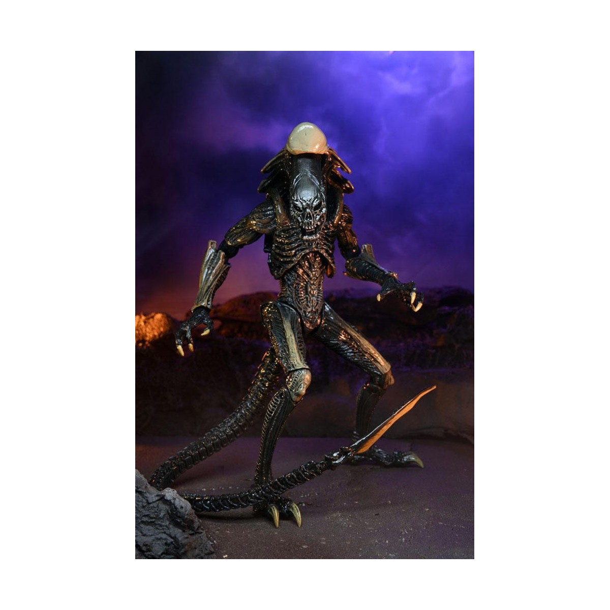 Neca Alien vs. Predator - Alien Realistic Appearance - Kompletter Satz von 3 Figuren
