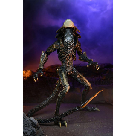 Neca Alien vs. Predator - Alien Realistic Appearance - Kompletter Satz von 3 Figuren