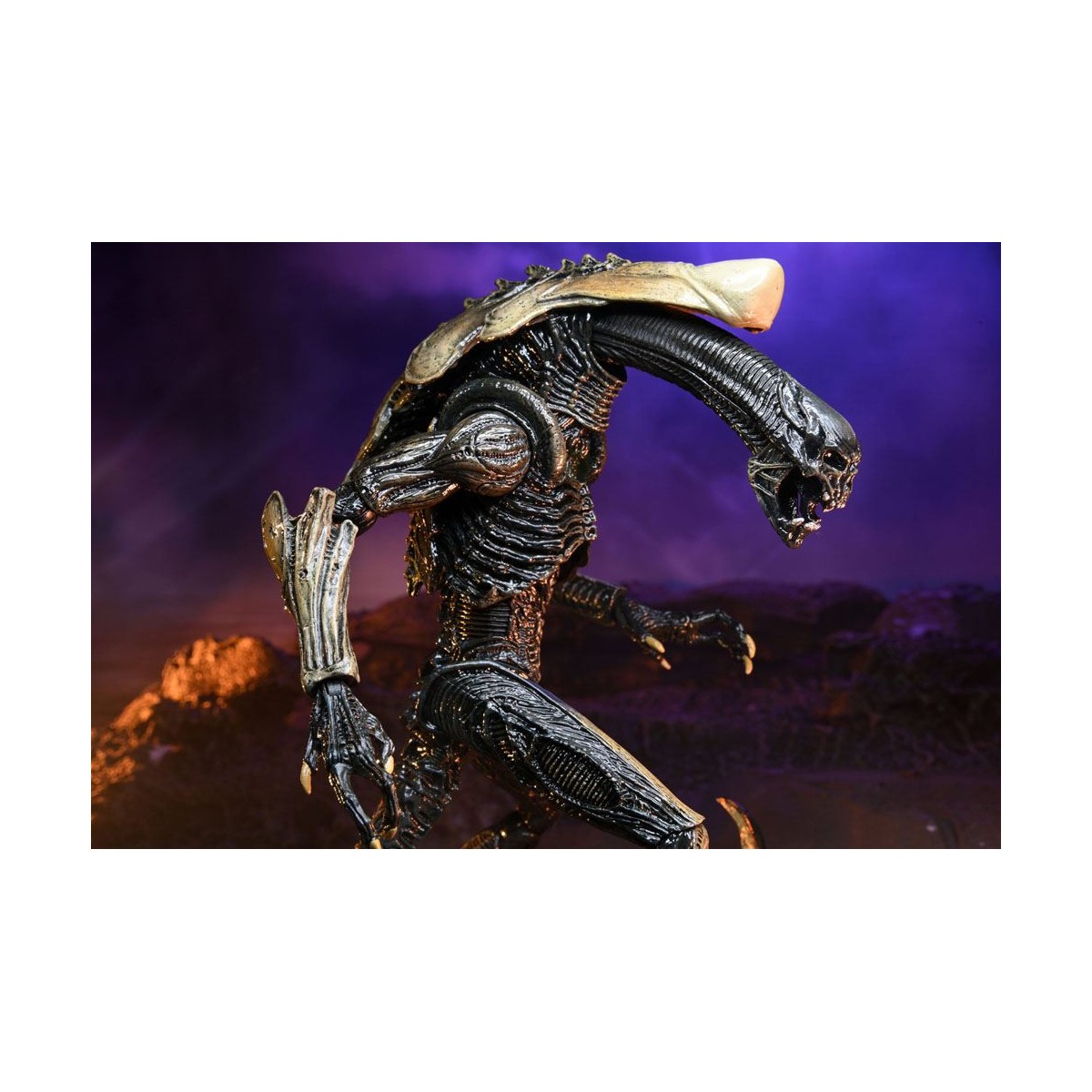Neca Alien vs. Predator - Alien Realistic Appearance - Kompletter Satz von 3 Figuren