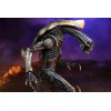 Neca Alien vs. Predator - Alien Realistic Appearance - Kompletter Satz von 3 Figuren