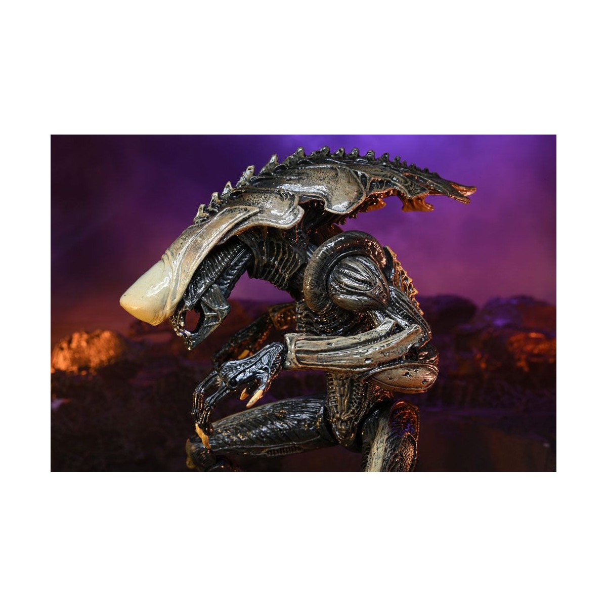 Neca Alien vs. Predator - Alien Realistic Appearance - Kompletter Satz von 3 Figuren