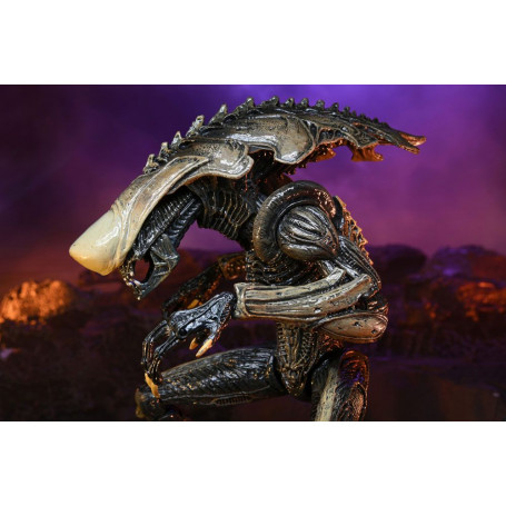 Neca Alien vs. Predator - Alien Realistic Appearance - Kompletter Satz von 3 Figuren