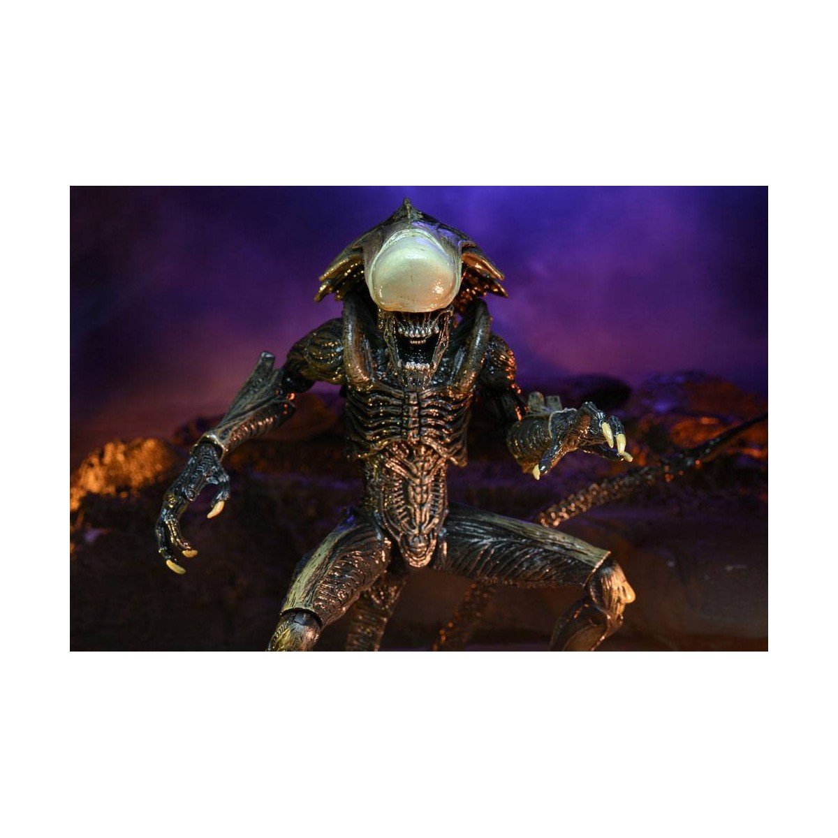Neca Alien vs. Predator - Alien Realistic Appearance - Kompletter Satz von 3 Figuren