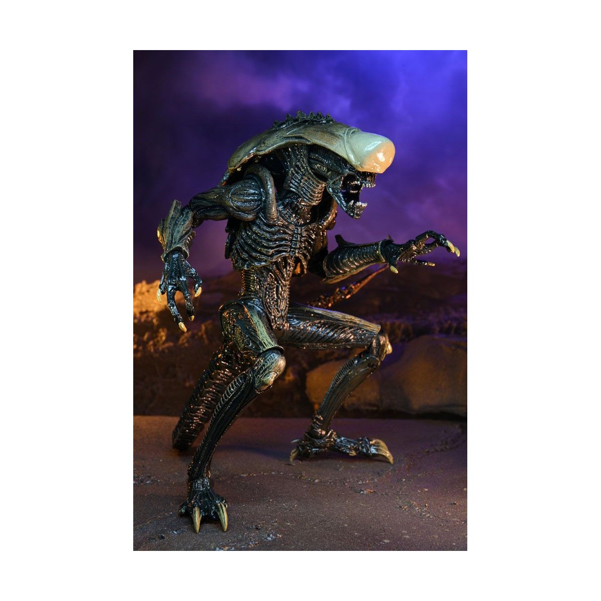 Neca Alien vs. Predator - Alien Realistic Appearance - Kompletter Satz von 3 Figuren