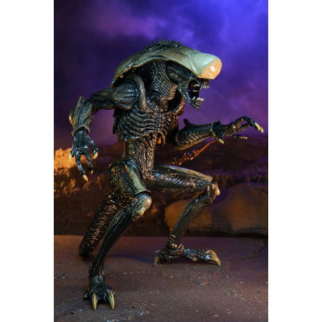 Neca Alien vs. Predator - Alien Realistic Appearance - Kompletter Satz von 3 Figuren