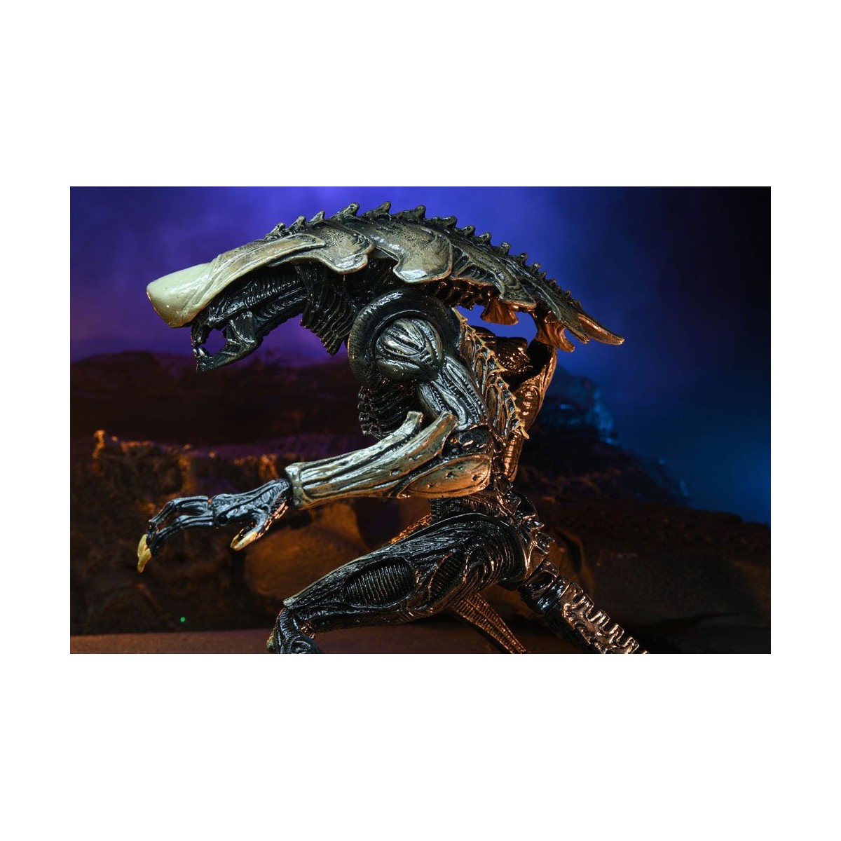 Neca Alien vs. Predator - Alien Realistic Appearance - Kompletter Satz von 3 Figuren