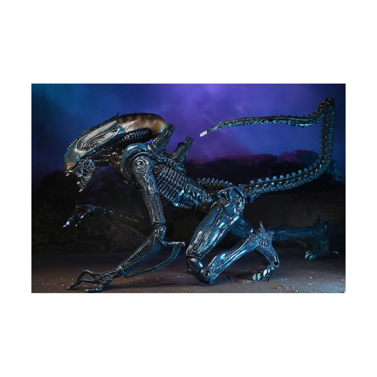 Neca Alien vs. Predator - Alien Realistic Appearance - Kompletter Satz von 3 Figuren